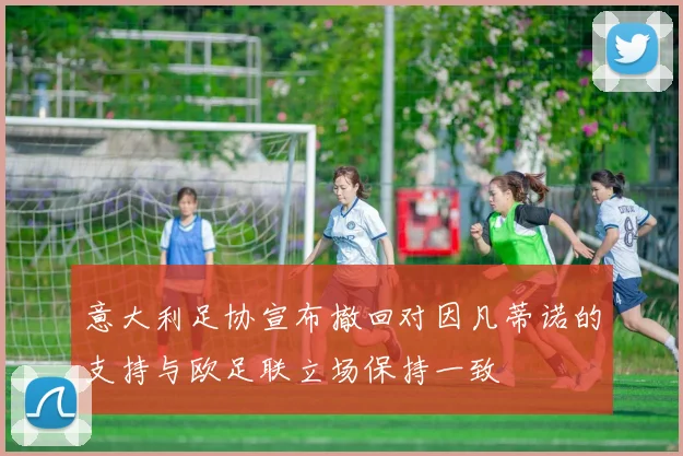 意大利足协宣布撤回对因凡蒂诺的支持与欧足联立场保持一致