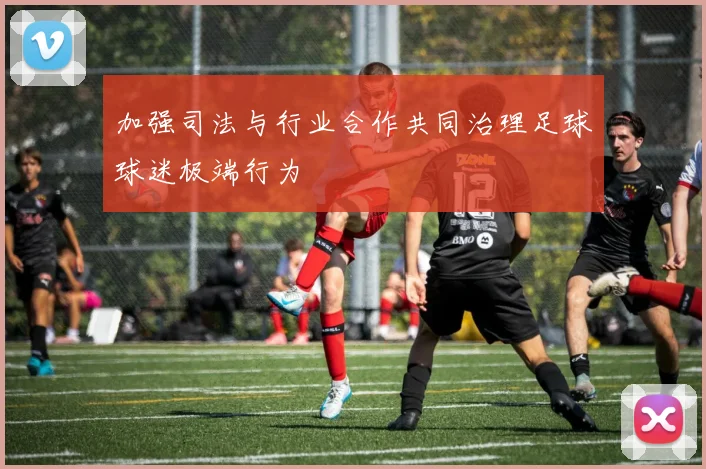 加强司法与行业合作共同治理足球球迷极端行为