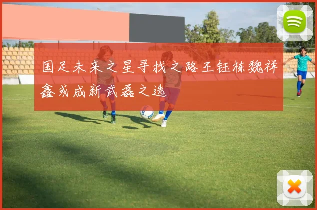 国足未来之星寻找之路王钰栋魏祥鑫或成新武磊之选