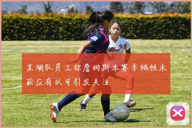 某湖队员工称詹姆斯本赛季牺牲未获应有认可引发关注